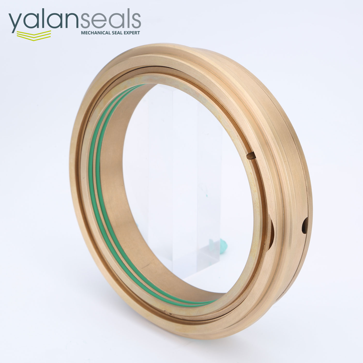 Selo mecânico Tipo rolamento Protection, rolamento Protector, rolamento Isolator